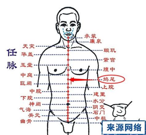 鳩尾穴位置